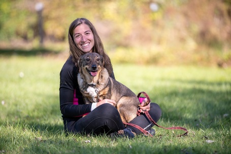 KisO, 4 éves, 34 cm magas, szuka