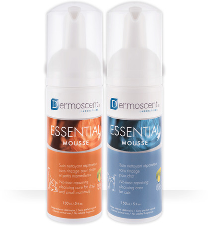 Dermoscent Essential Mousse kutyáknak és macskáknak