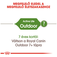 Royal Canin Outdoor - Szabadba gyakran kijáró, aktív felnőtt macska száraz táp #4