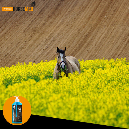 Horsemed Ice Gél gyógyhatású jéggél lovaknak