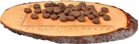 CarniLove Puppy Large Salmon & Turkey száraztáp nagytestű kölyökkutyáknak