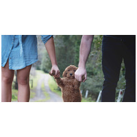 Wuuff - Vásárolj kiskutyát megbízható tenyésztőtől