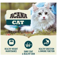 Acana Indoor Entrée #13