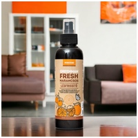 Greenman Fresh narancsos légfrissítő #3