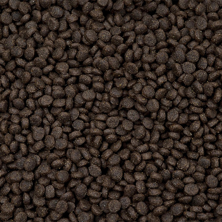 Sam's Field Puppy Fresh Chicken & Potato