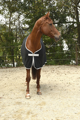 Covalliero RugBe Economic polár lótakaró