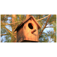 Költőládák tavaszi tisztítása