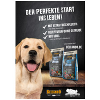 Belcando Junior Grain-Free Poultry #13