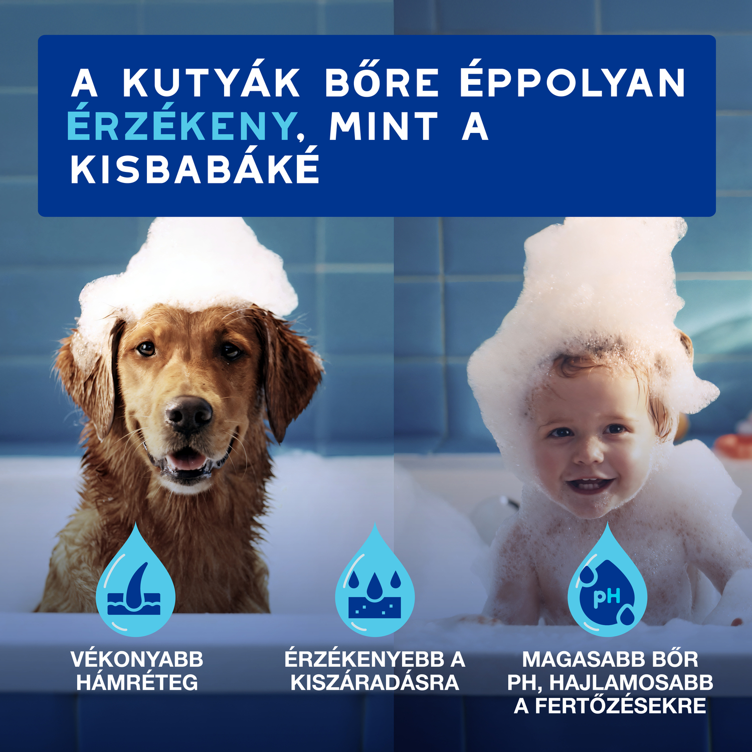 Douxo Spa spumă fără clătire pentru câini - zoom