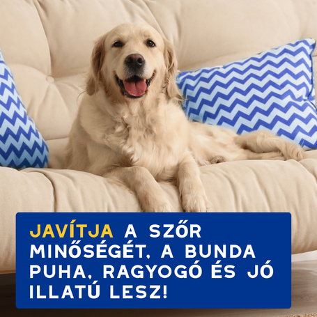 Douxo Spa hidratáló sampon kutyáknak