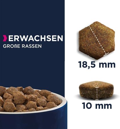 Eukanuba Adult Large Salmon & Barley | Lazacos táp felnőtt kutyáknak