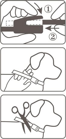 Beaphar CaniShield repellens nyakörv kutyáknak