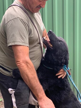 Ábel, 4 éves, 55 cm magas, kan