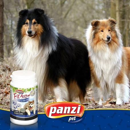 FitActive Fit-a-Skin bőr- és szőrregeneráló vitamin kutyáknak