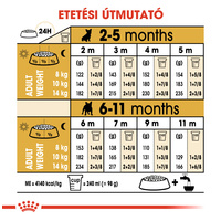 Royal Canin French Bulldog Junior - Francia Bulldog kölyök kutya száraz táp #6