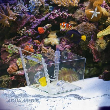 Aqua Medic halcsapda üvegajtóval, rögzítő tapadókorongokkal