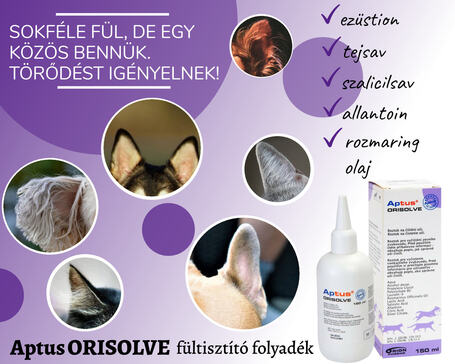 Aptus Orisolve Plus külső hallójárat tisztító oldat