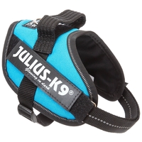 Julius-K9 IDC világoskék powerhám kutyáknak #4