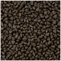 Sam's Field Adult Salmon & Potato #2