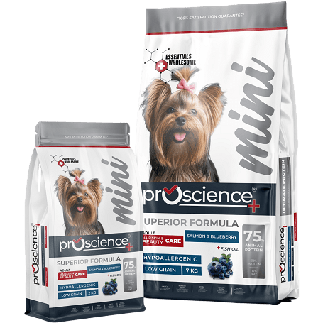 ProScience Mini Adult Dog Salmon & Blueberry