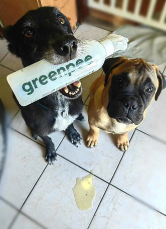 Greenpee vizelet- és szagsemlegesítő
