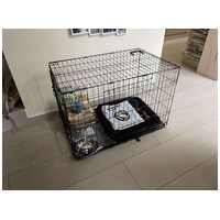 Szöszi, 5 éves ivartalanított lányka #12