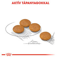 Royal Canin Mini Dermacomfort - Száraz táp bőrirritációra hajlamos, kistestű felnőtt kutyák részére #3