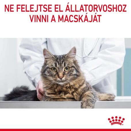 Royal Canin Light Weight Care - Száraz táp felnőtt macskák részére az ideális testsúly eléréséért