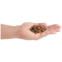 Acana Pacifica Dog #11