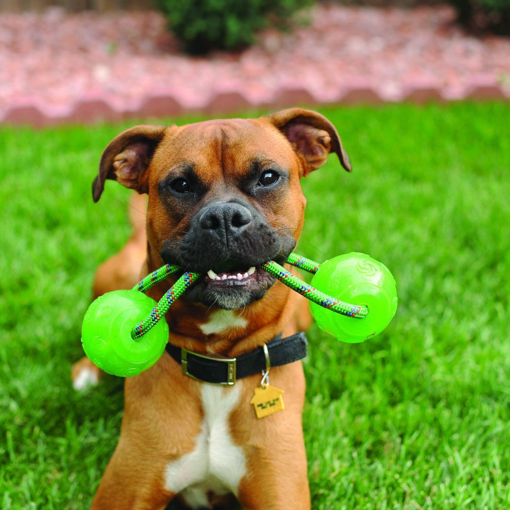 Kong Squeezz Ball jucărie pentru câini cu sfoară