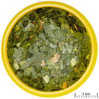 JBL ProNovo Guppy Flakes S lemezes táp guppiknak #3