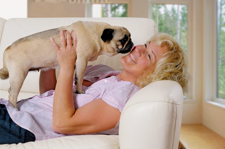 Belcando Finest Light | Túlsúlyos vagy idősebb kistestű kutyáknak való eledel