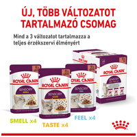Royal Canin Sensory Smell Jelly - Zselés felnőtt macska nedves táp fokozott illattal #7