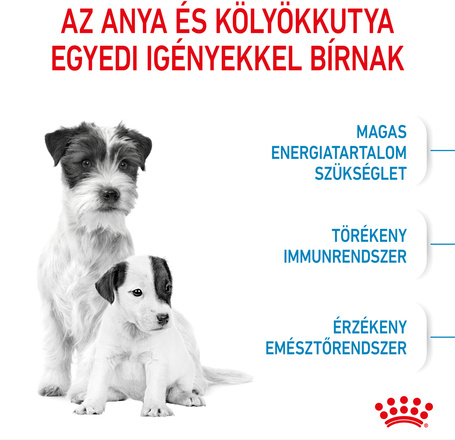 Royal Canin Mini Starter - Száraz táp kistestű vemhes szuka és kölyök kutya részére 2 hónapos korig