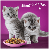 Whiskas Junior csirkehúsos szárazeledel #3
