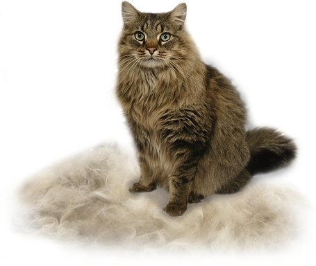 FURminator hosszú szőrű macskákhoz