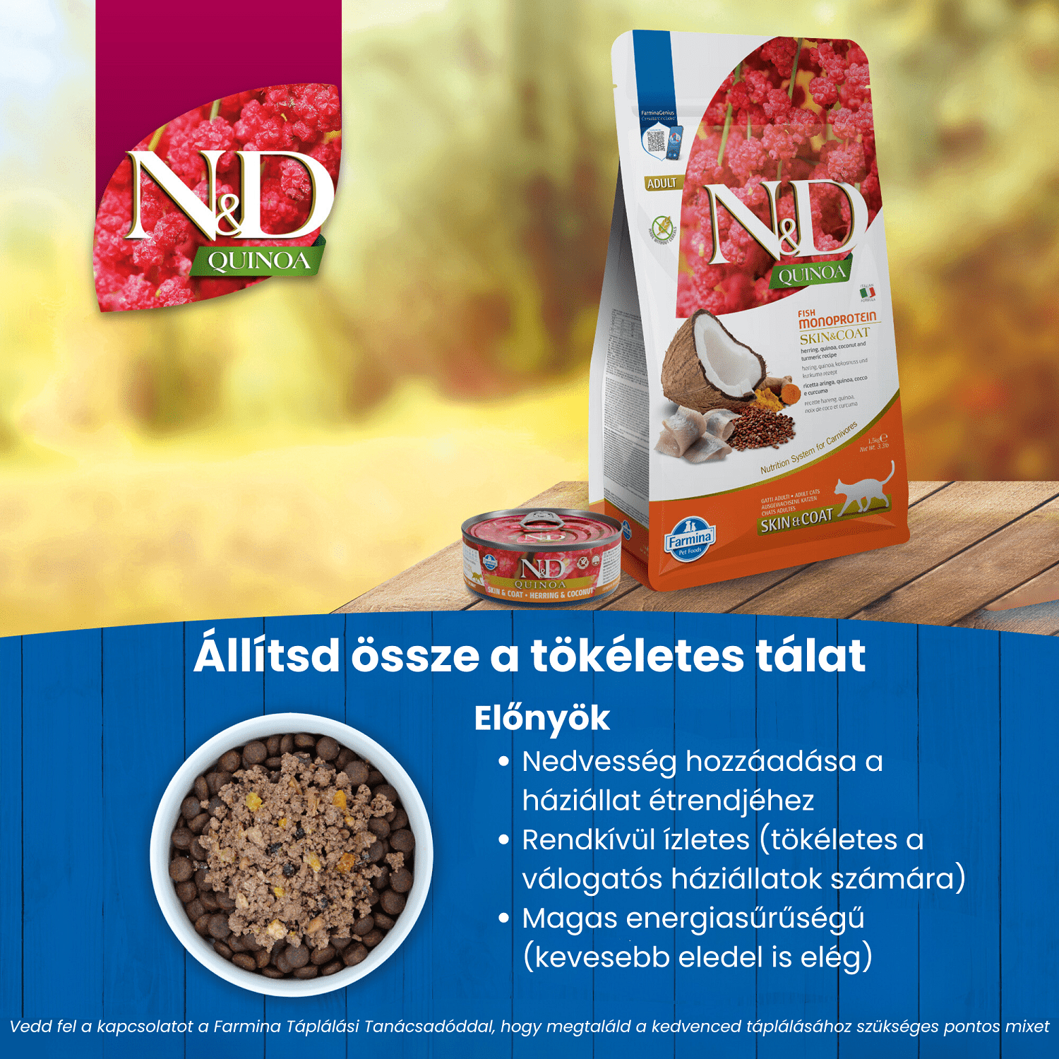 N&D Cat Grain Free Quinoa Skin & Coat Hering – Bőr- és szőrproblémákra | Szuperprémium macskaeledel