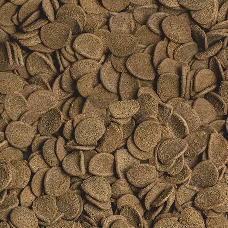 Sera Vipachips Wafers