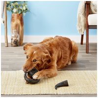 Trixie bivalyszarv kutyáknak #2