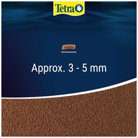 Tetra Goldfish Gold Japan #5