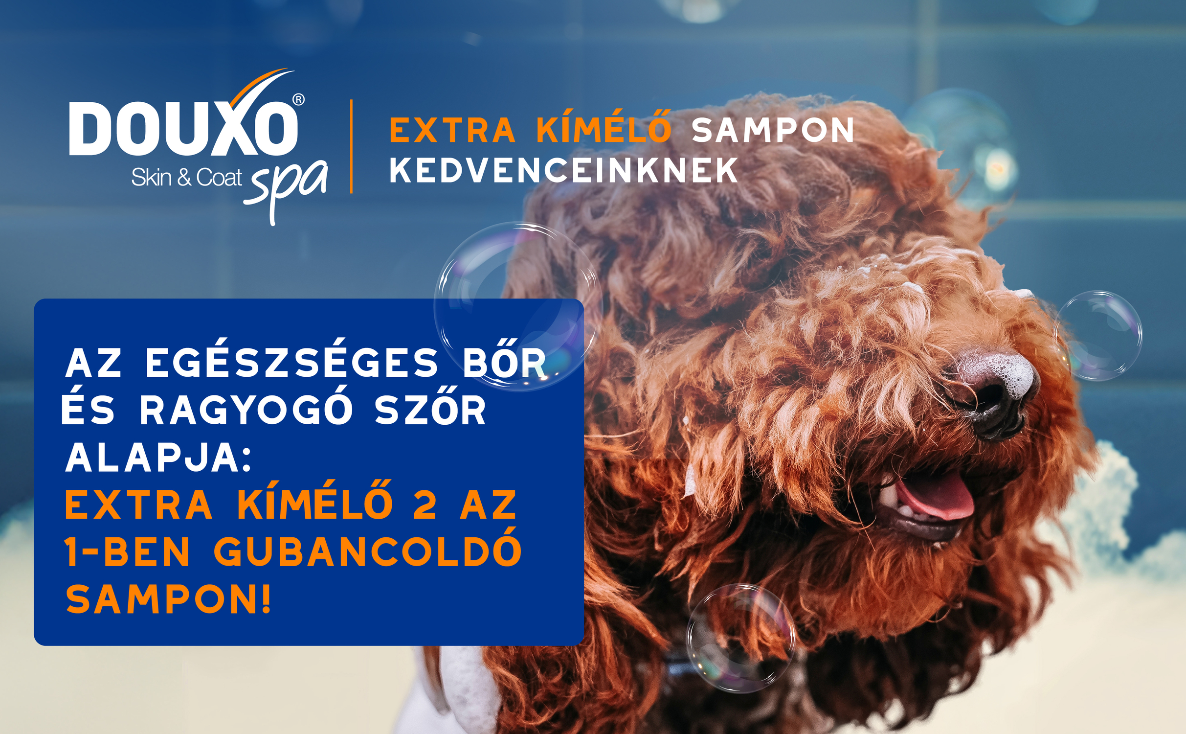 HU DouxoSpa Detangling Shampoo BTF Tile 1 