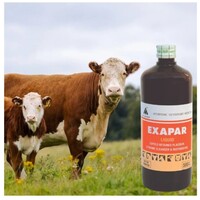 Exapar placentakiürülést segítő itatófolyadék #3