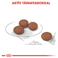 Royal Canin Mini Digestive Care - Száraz táp érzékeny emésztésű, kistestű felnőtt kutyák részére #3