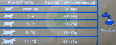 Matisse Kitten kölyökmacskáknak