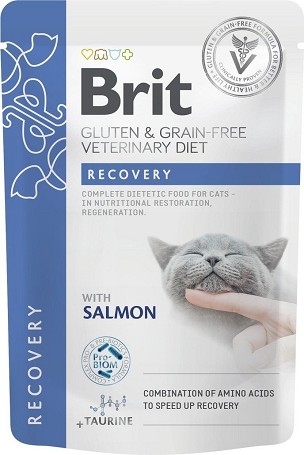 Brit Veterinary Diets Cat Pouch Recovery