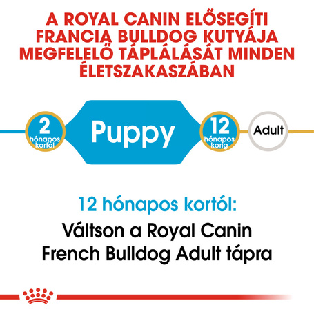 Royal Canin French Bulldog Junior - Francia Bulldog kölyök kutya száraz táp