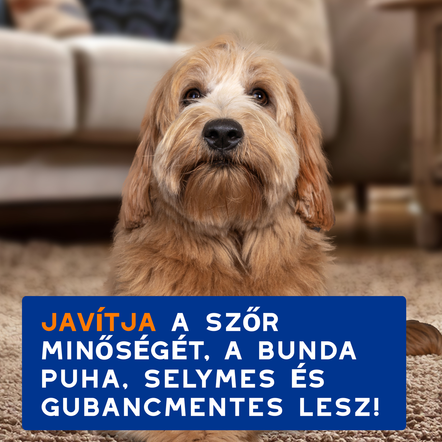 Douxo Spa șampon descurcant pentru câini - zoom