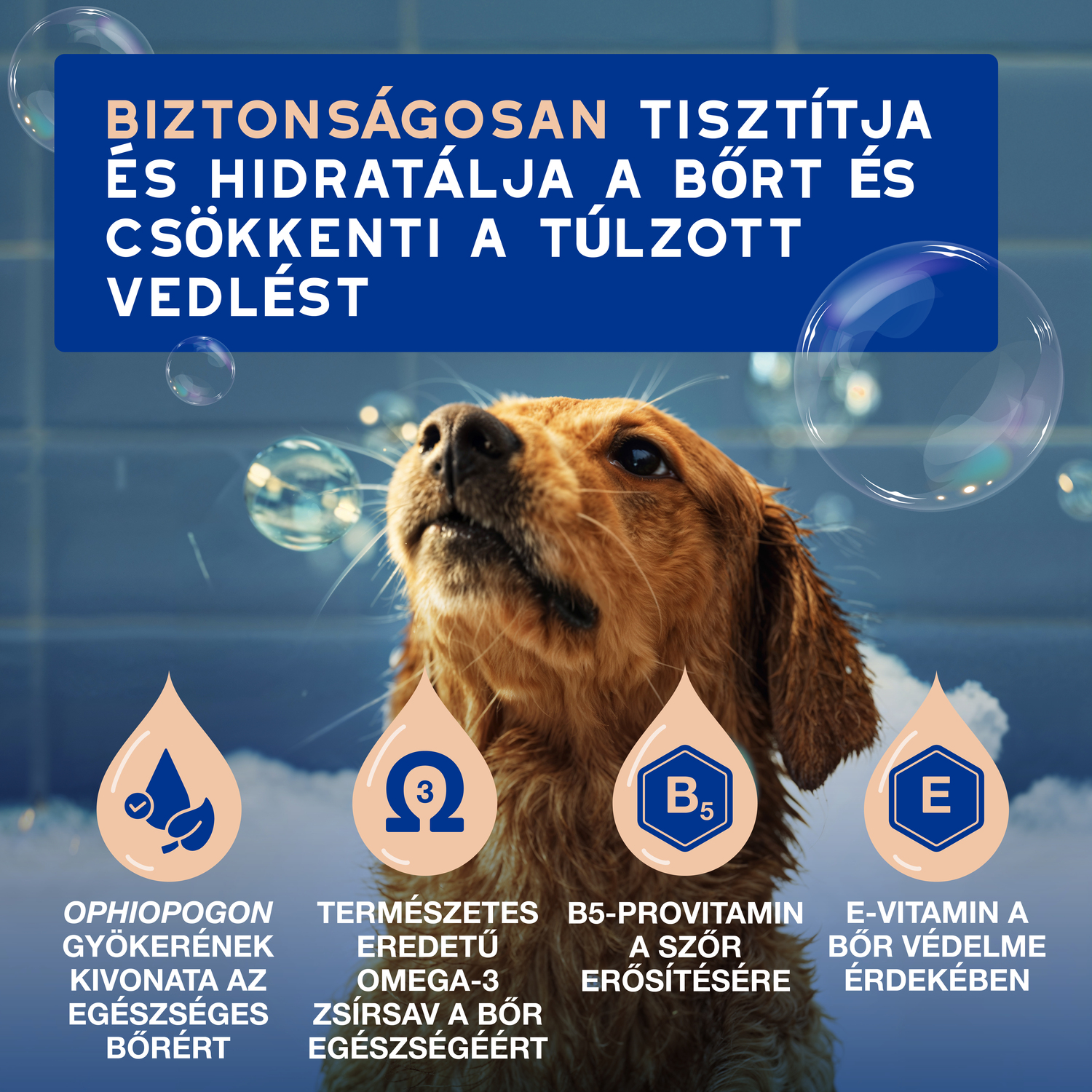 Douxo Spa șampon anti-năpârlire pentru câini - zoom