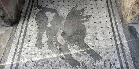 A kutya és az ember kapcsolata