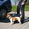 Trixie autós biztonsági öv + hám kutyáknak